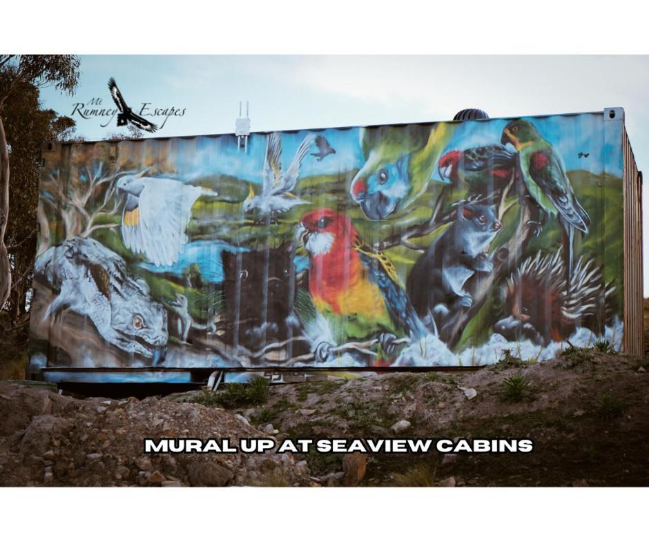 Mount Rumney Escapes - Platypus Cabin Екстер'єр фото