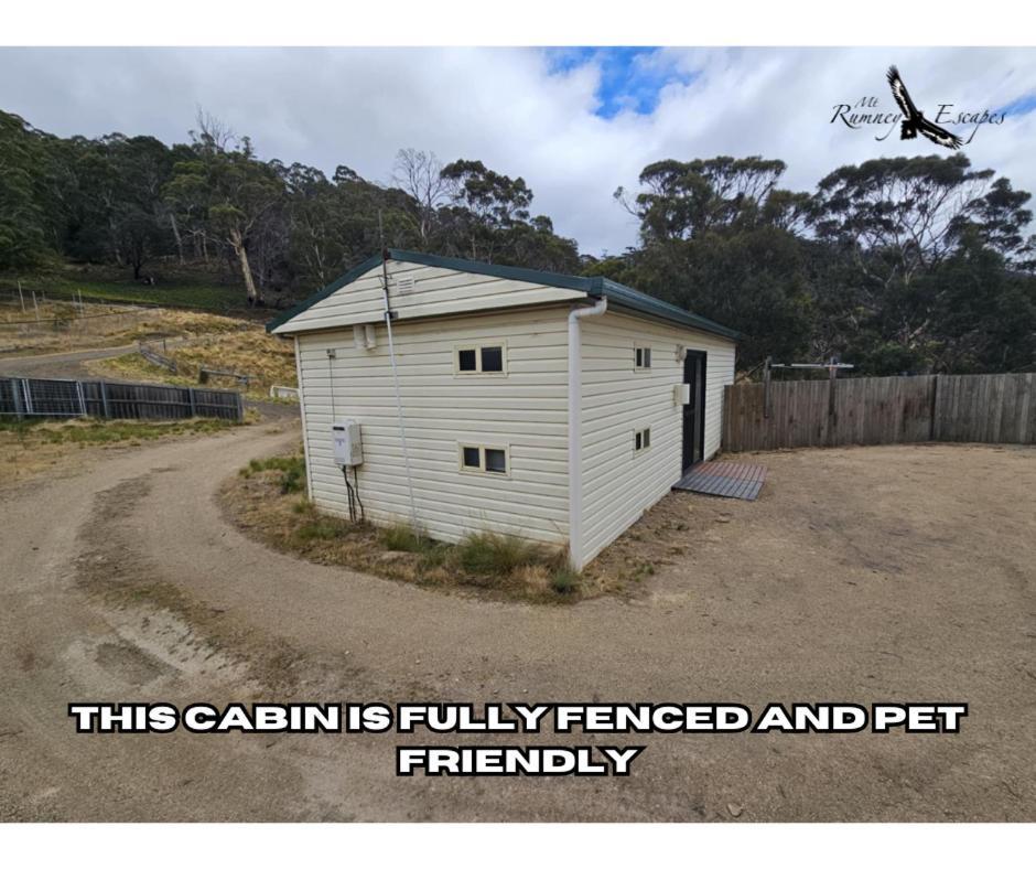 Mount Rumney Escapes - Platypus Cabin Екстер'єр фото
